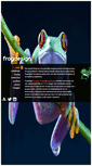 Mobile Screenshot of frogdesign2.nl